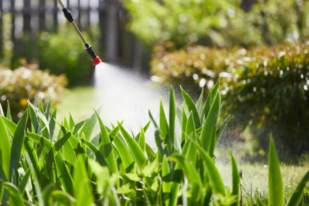 Tamper-Resistant Bait Stations for Rodents in Carroll Valley