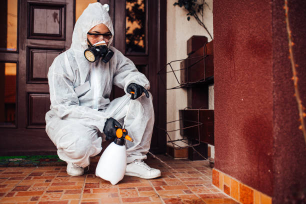 Attic and Crawl Space Rodent Treatment in Carroll Valley