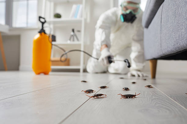 Commercial Rodent Management in Carroll Valley